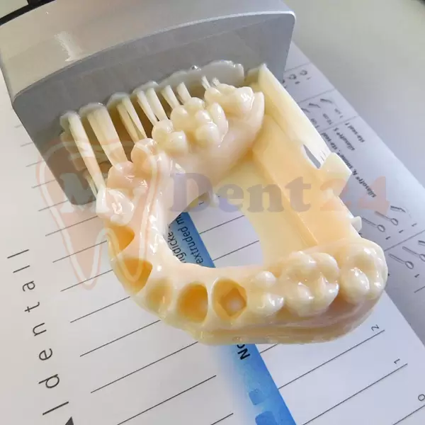 3D материал Freeprint model UV, для моделирования, слоновая кость | Купить  стоматологические товары недорого в интернет-магазине Dental First