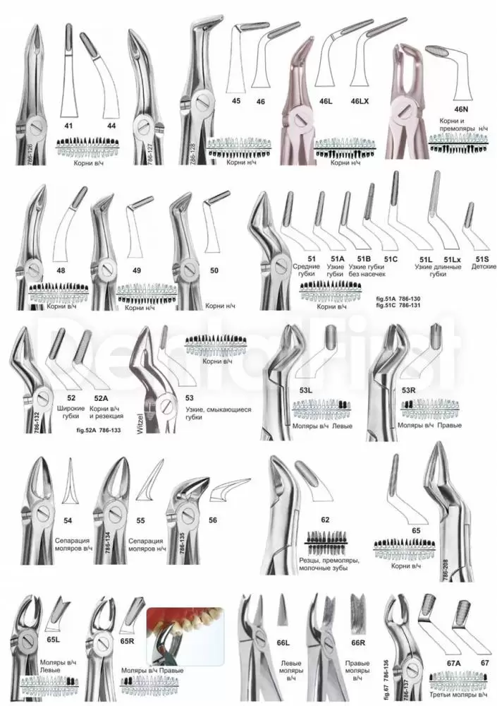 Щипцы стоматологические для удаления зубов названия и фото